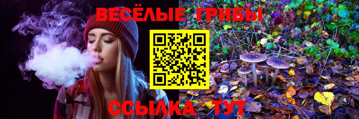 Псилоцибиновые грибы GOLDEN TEACHER Великий Устюг